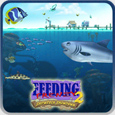 Feeding Frenzy™ 2: Shipwreck Showdown Feeding Frenzy™ 2: Shipwreck Showdown